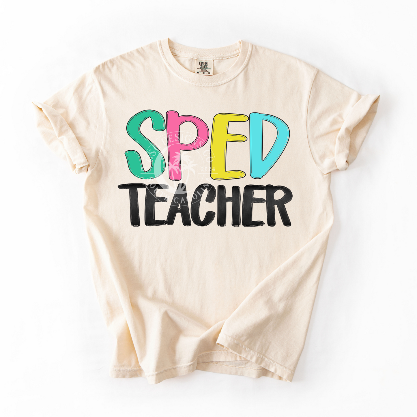 SPED TEACHER- NEON- PNG