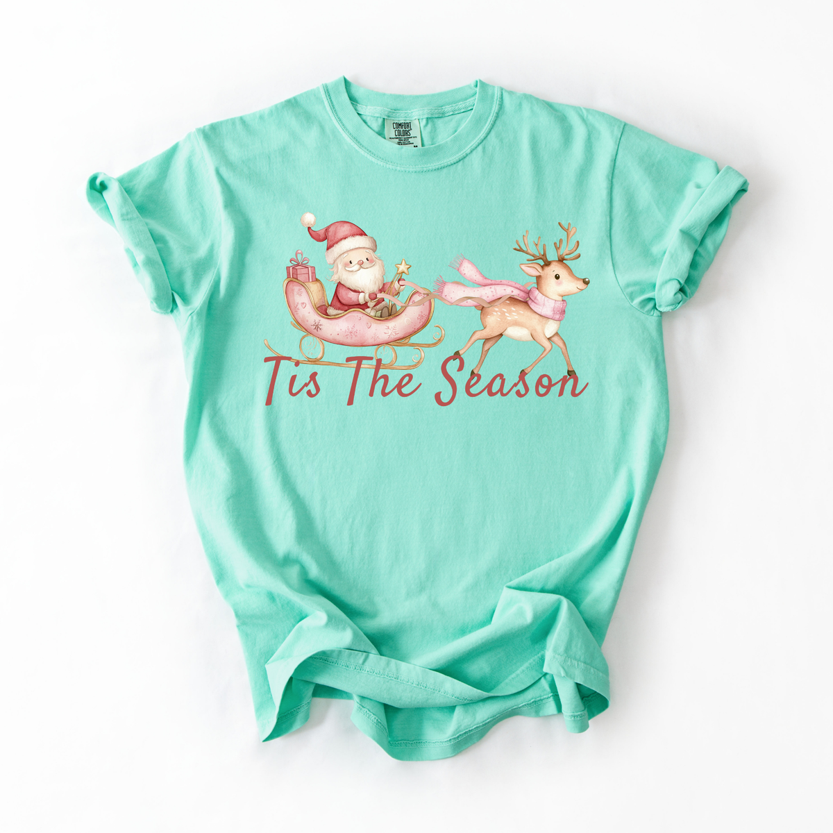 Tis The Season- Santa Sleigh Women's Tshirt