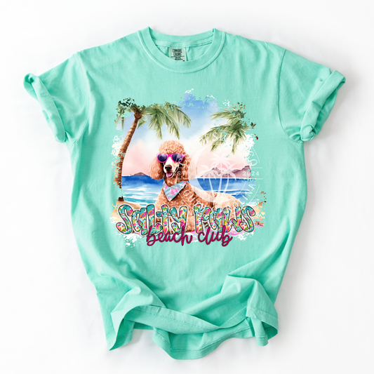 Brown Poodle Salty Paws-PNG