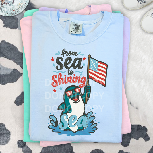 From Sea to Shining Sea- Dolphin- PNG