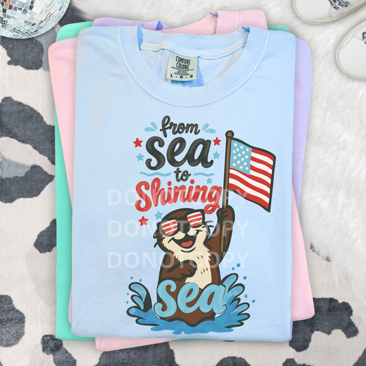 From Sea to Shining Sea- Otter- PNG