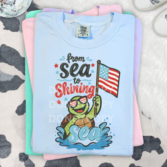 From Sea to Shining Sea- Turtle- PNG