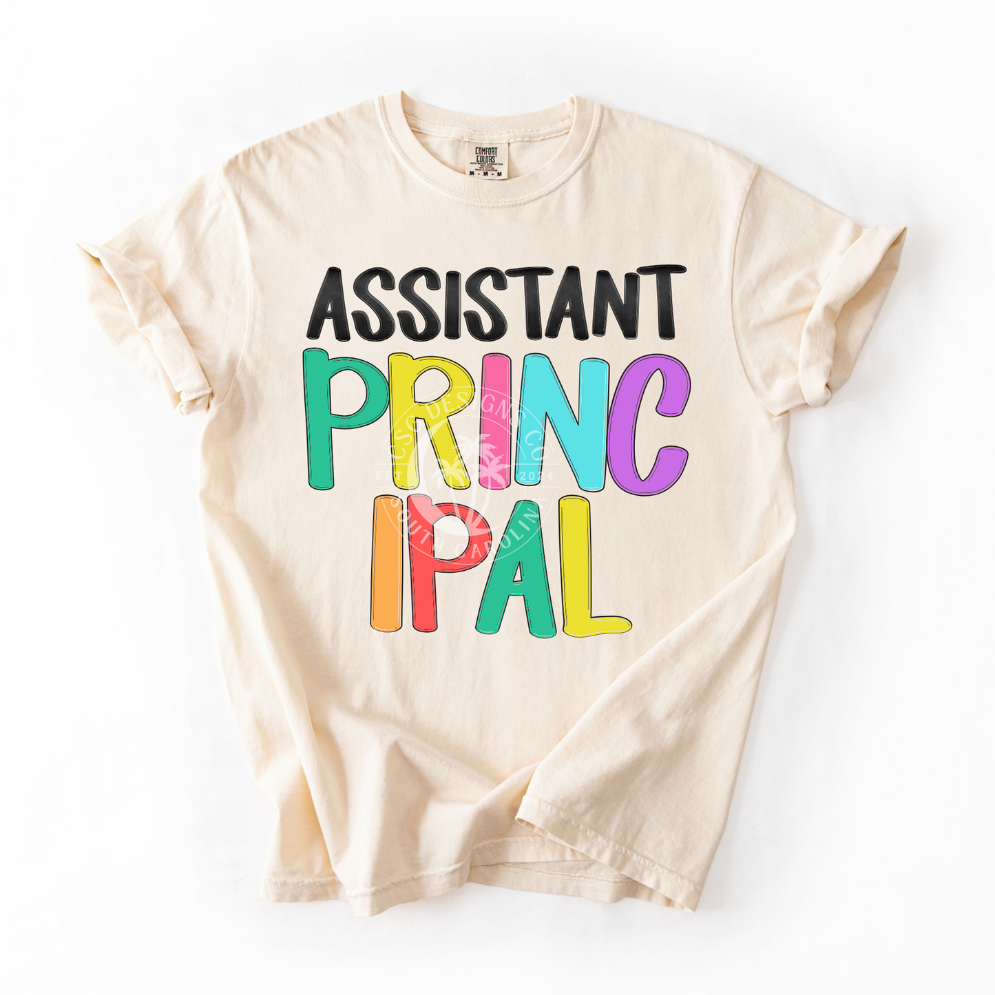 ASSISTANT PRINCIPAL- NEON- PNG